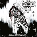 Destryer 666 - Never Surrender (lim. digiboxCD)